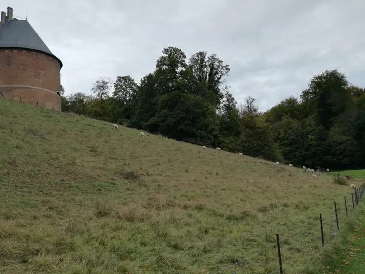 Gaasbeek + Castle of Gaasbeek (Lennik, Belgium)